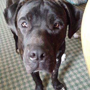 Meet your Posher, Tim